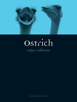 cover image of Ostrich